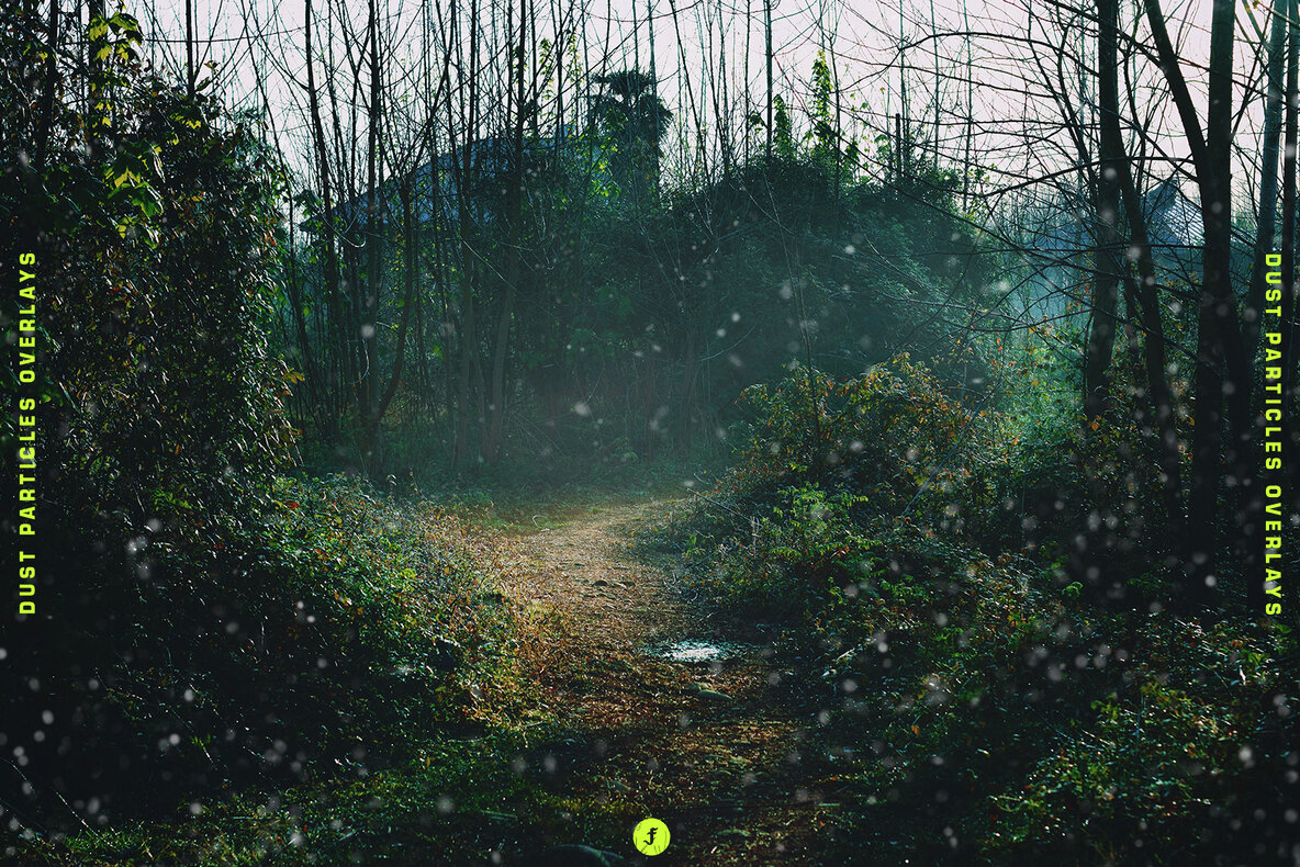 Dust Particles Photo Overlays 17