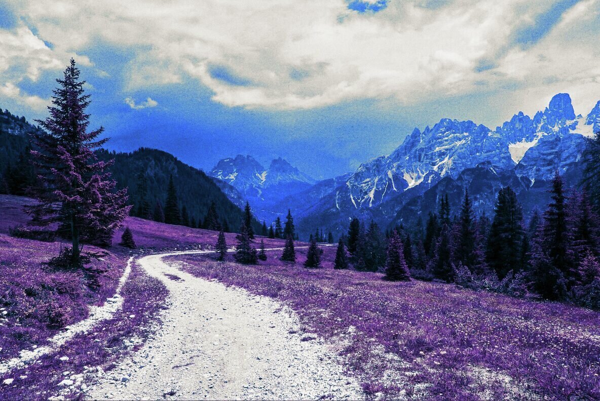 Infrared Filter Photo Effect 3