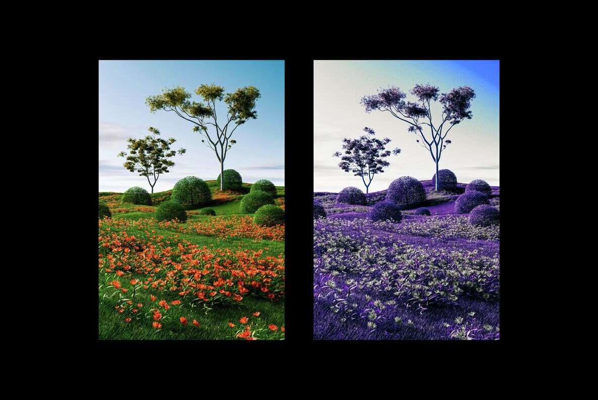 Infrared Filter Photo Effect 4