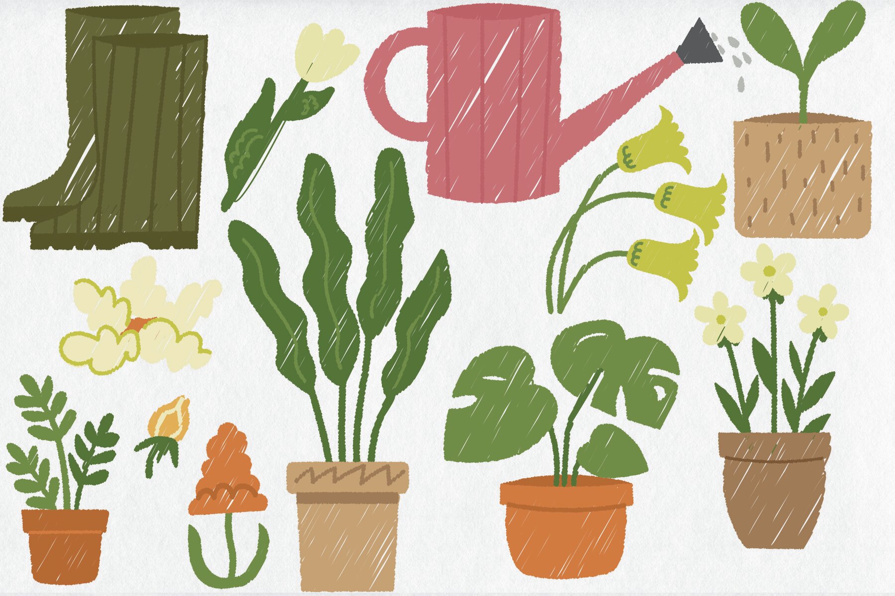 Farm and Garden Friends illustrations 6