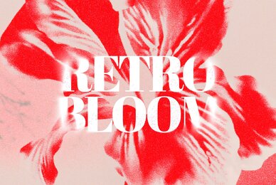 Retro Bloom Grain Textures
