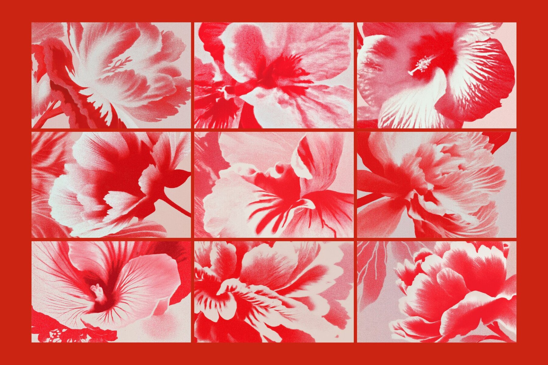 Retro Bloom Grain Textures 6