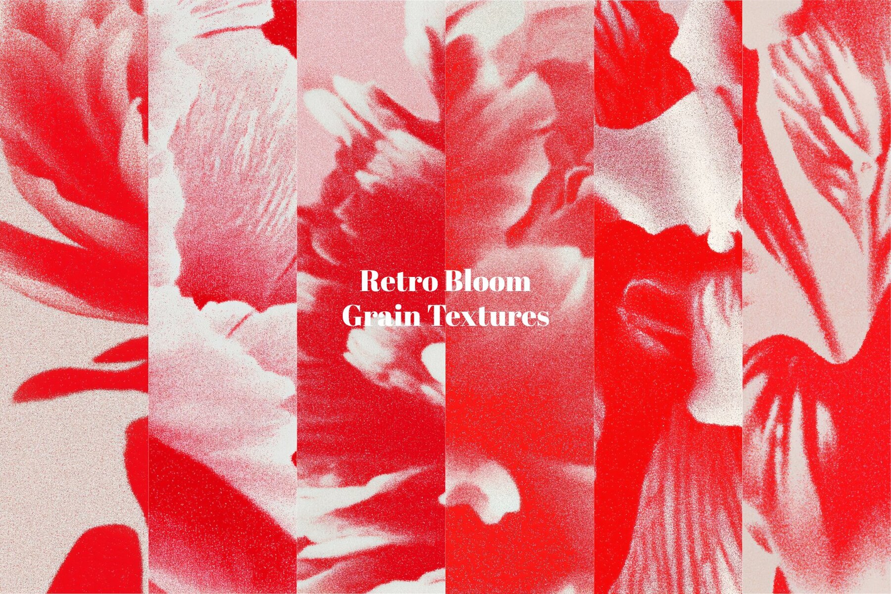 Retro Bloom Grain Textures 8