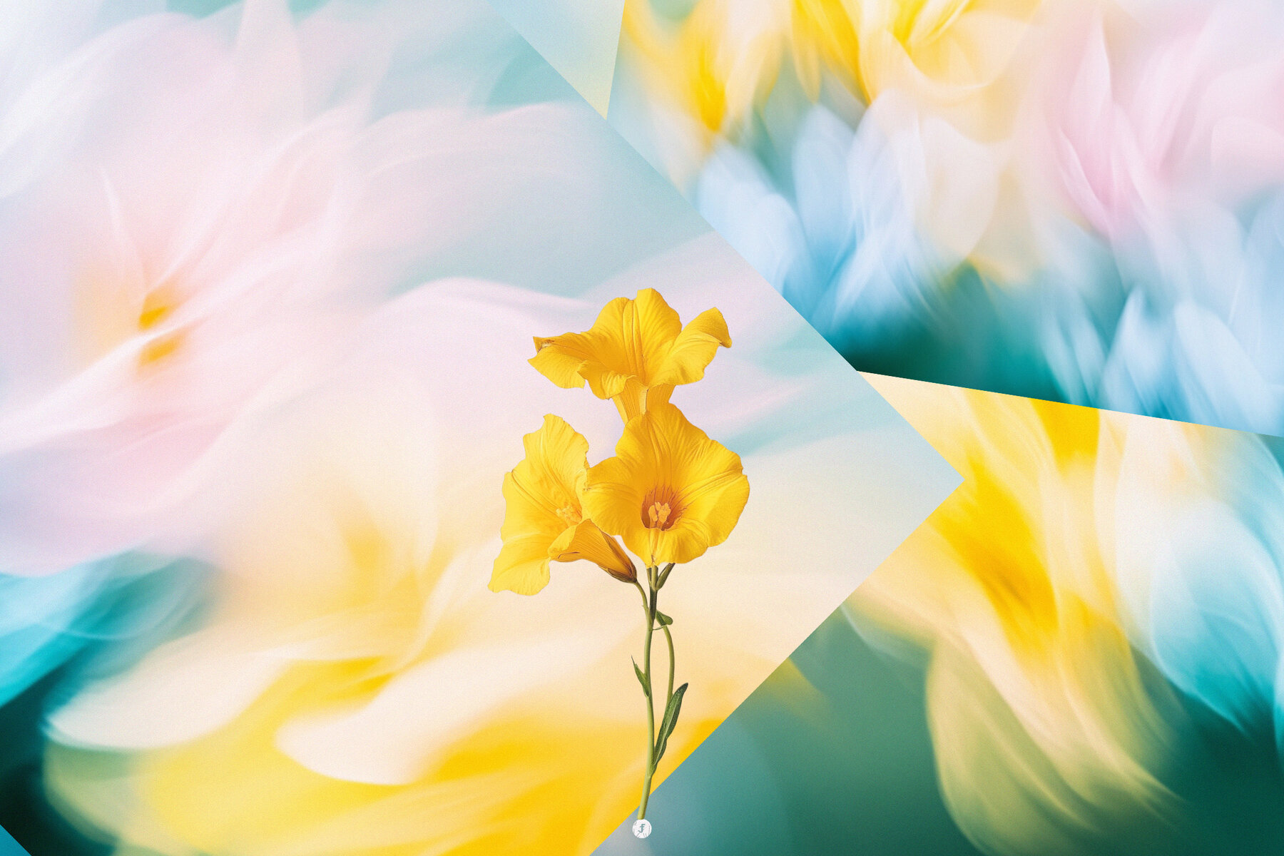 Floral Gradient Backgrounds 3