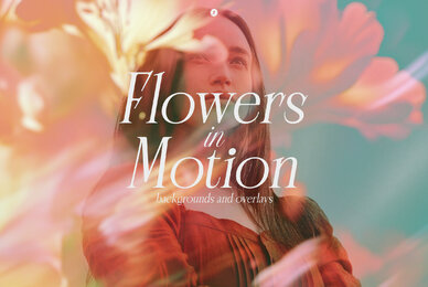 Flowers in Motion Backgrounds and Overlays