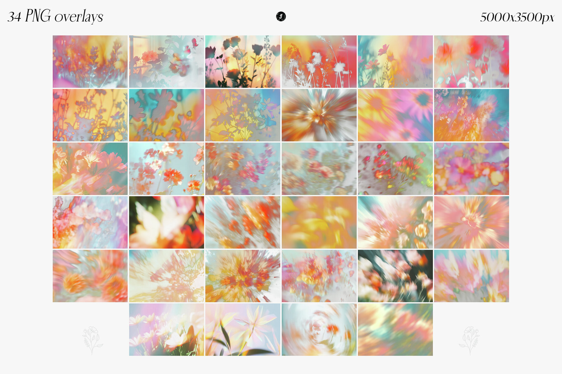 Flowers in Motion Backgrounds and Overlays 3