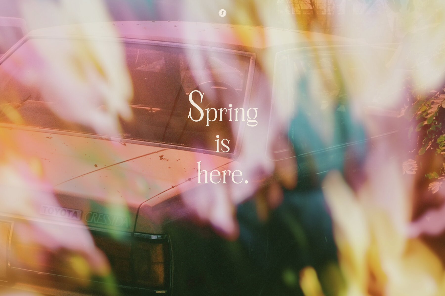 Flowers in Motion Backgrounds and Overlays 5