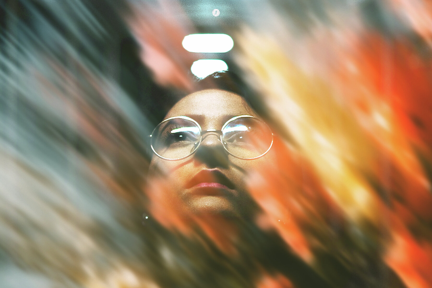 Flowers in Motion Backgrounds and Overlays 6