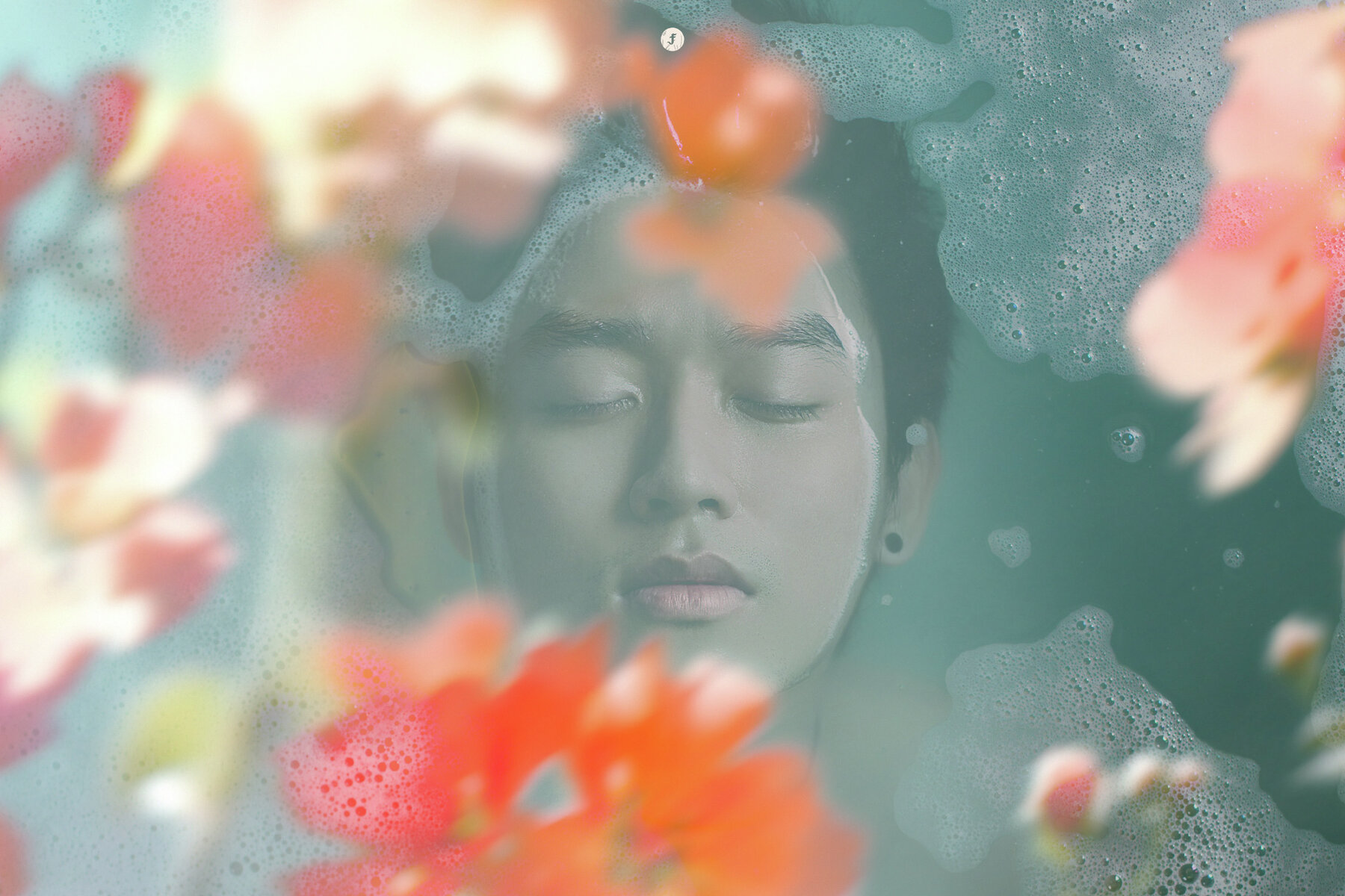 Flowers in Motion Backgrounds and Overlays 7