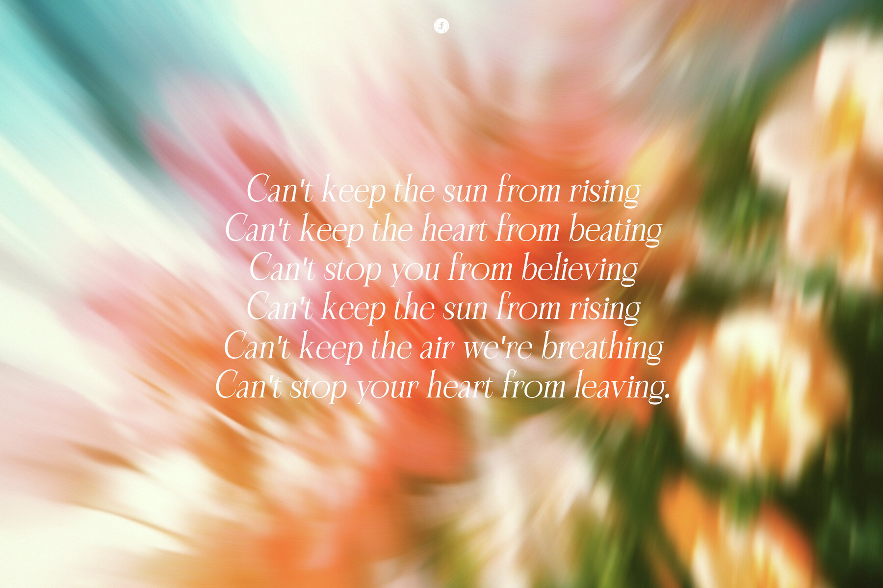 Flowers in Motion Backgrounds and Overlays 9