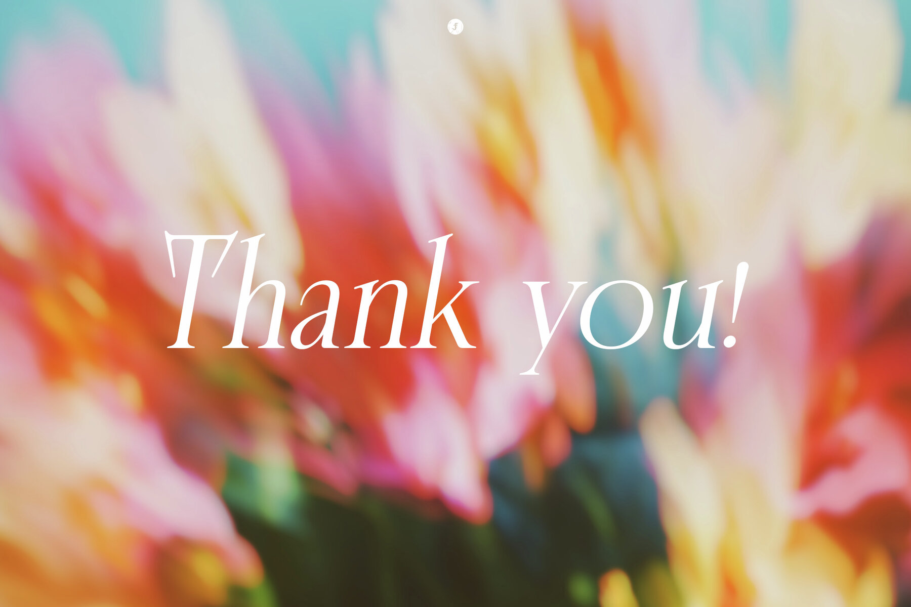 Flowers in Motion Backgrounds and Overlays 10