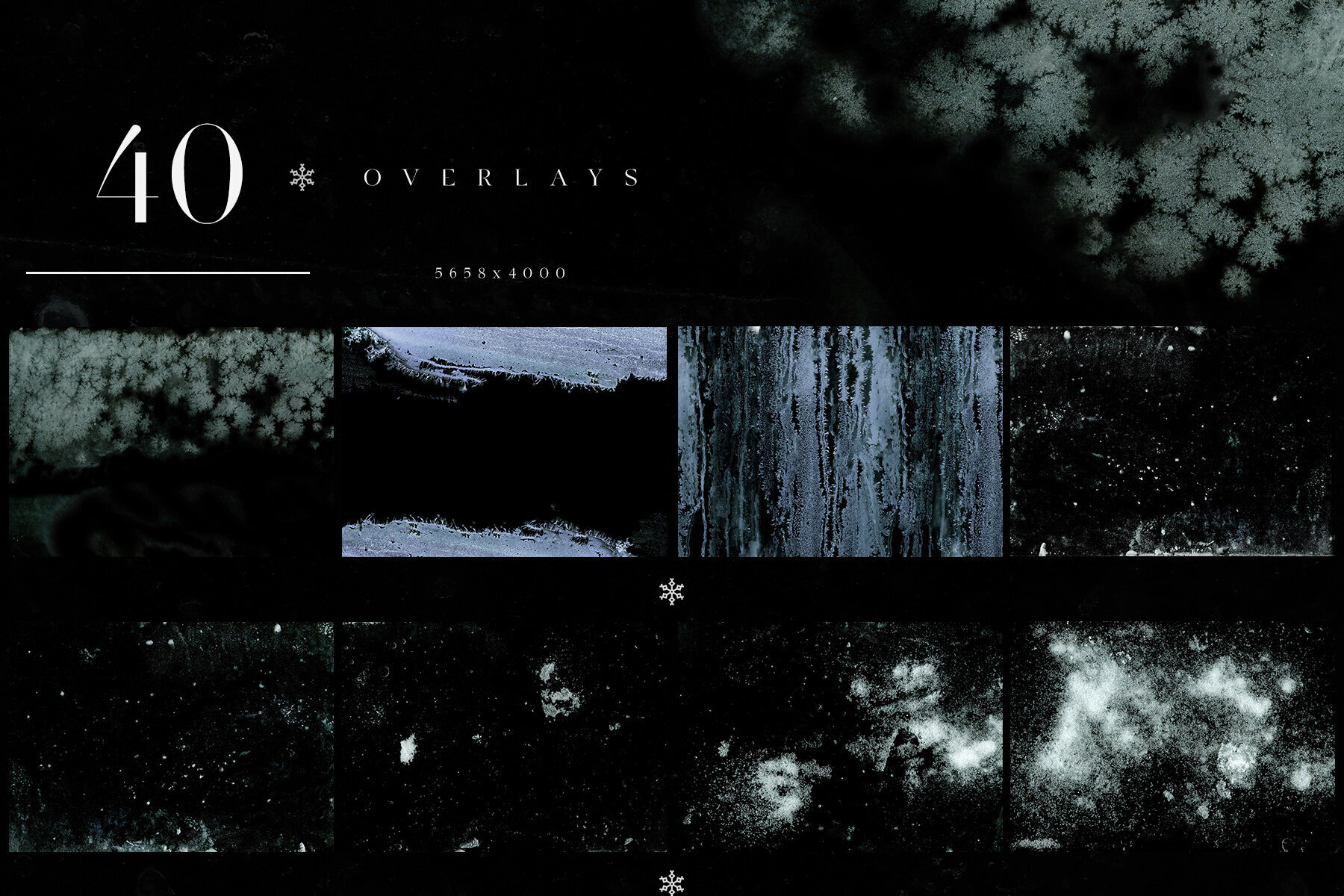 Frozen Photo Overlays 1