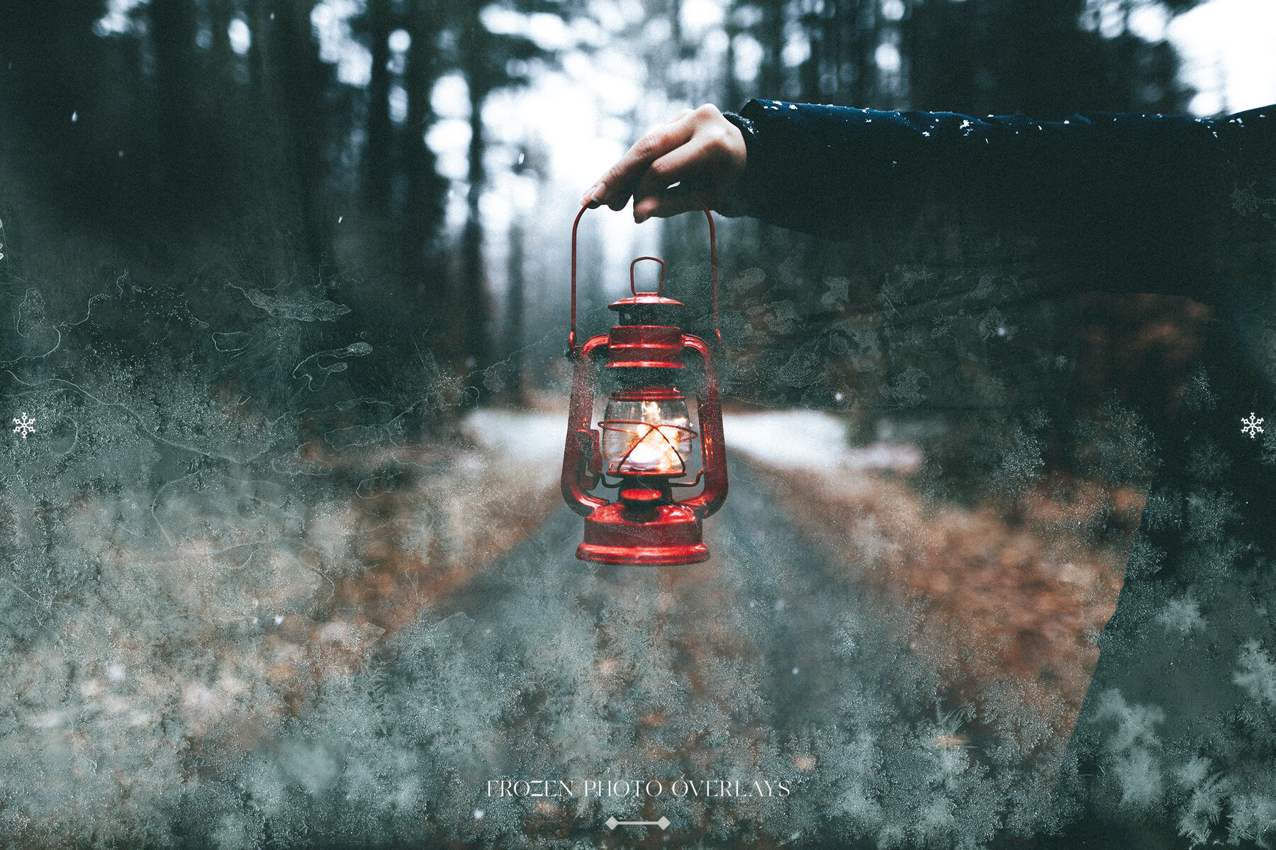 Frozen Photo Overlays 9