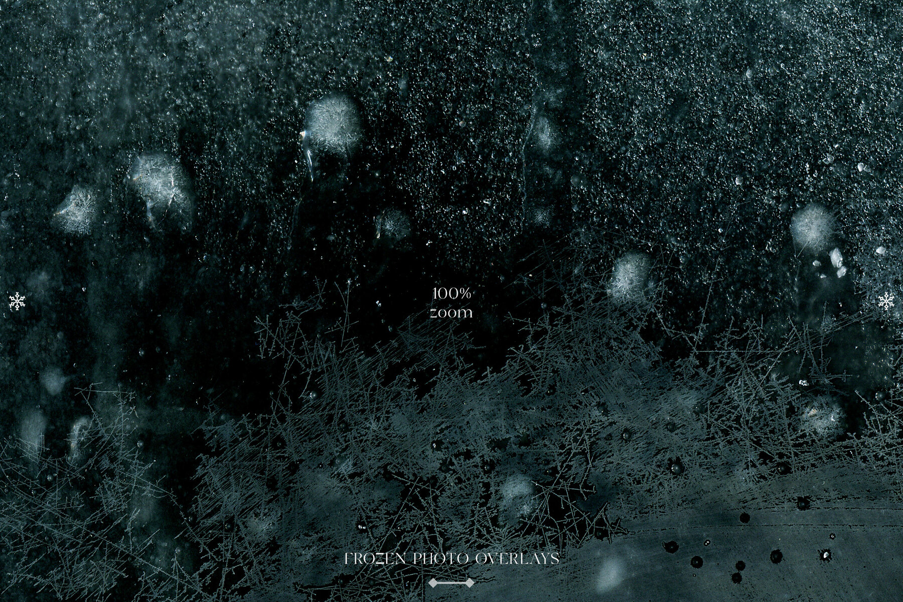 Frozen Photo Overlays 13