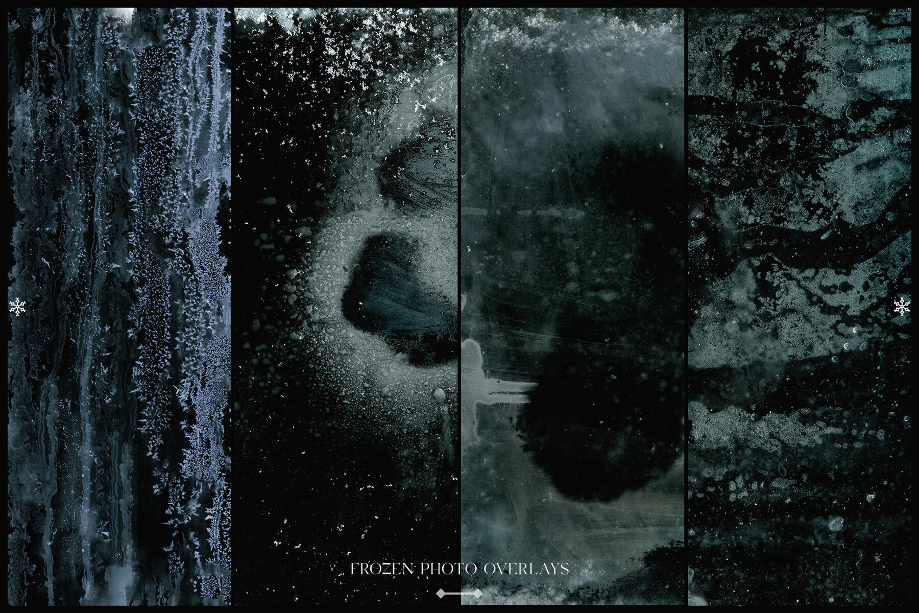 Frozen Photo Overlays 14