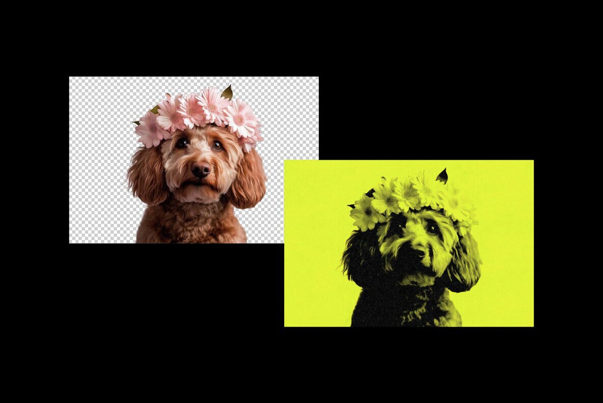 Duotone Halftone Photo Template 5