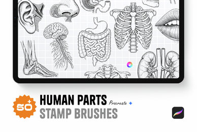 Human Parts   Procreate Stamp Brushes