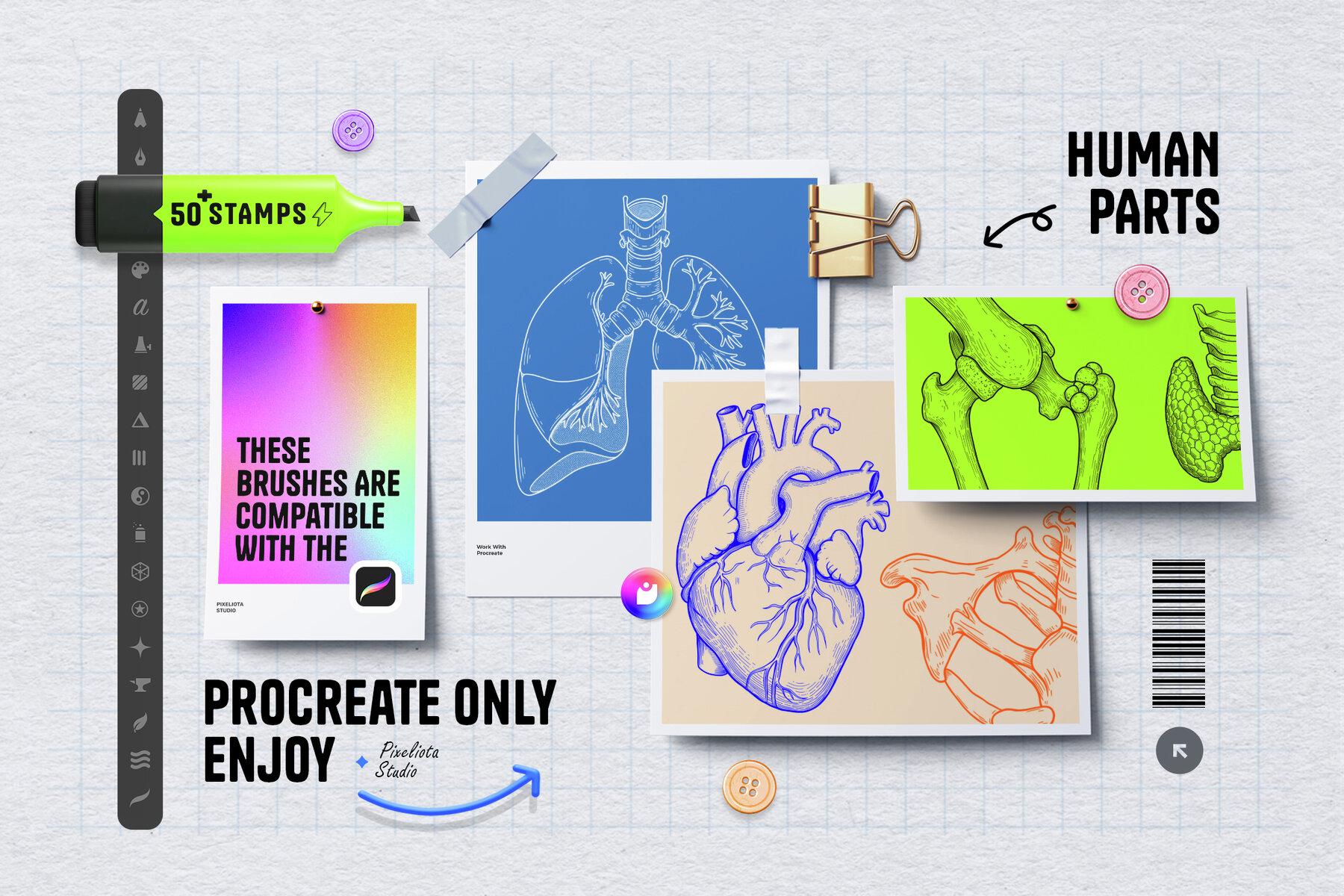 Human Parts   Procreate Stamp Brushes 5