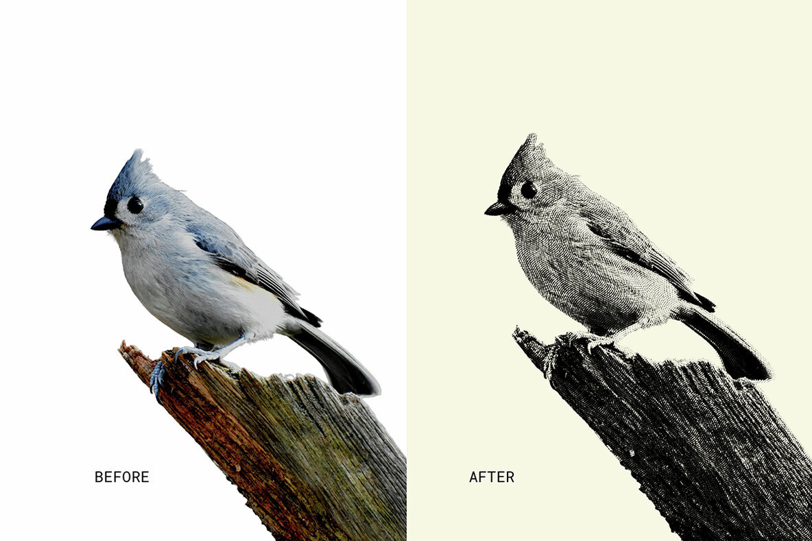 Easy Engraver Effects for Photoshop 3