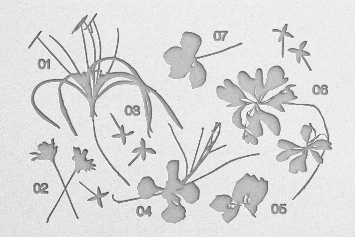 White Paper Cut Out Mockup 2