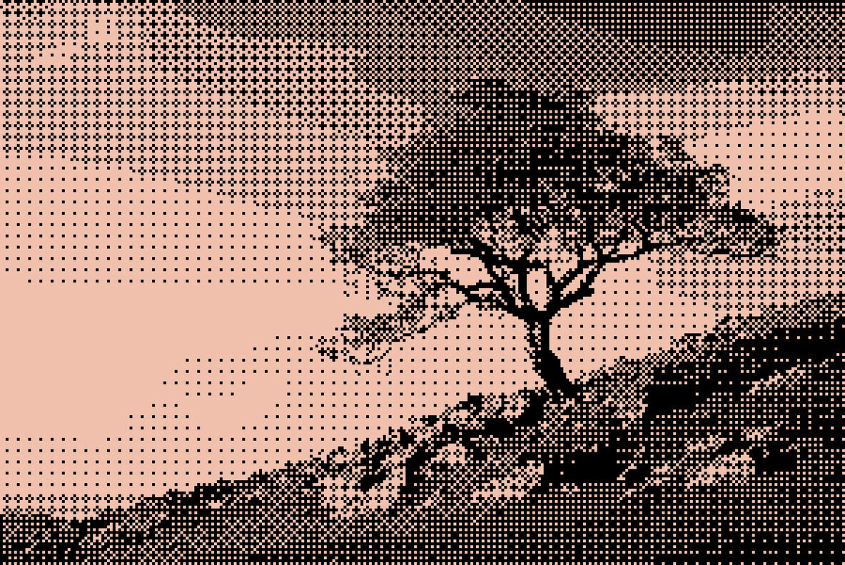 Dithered Bitmap Photo Effect 3