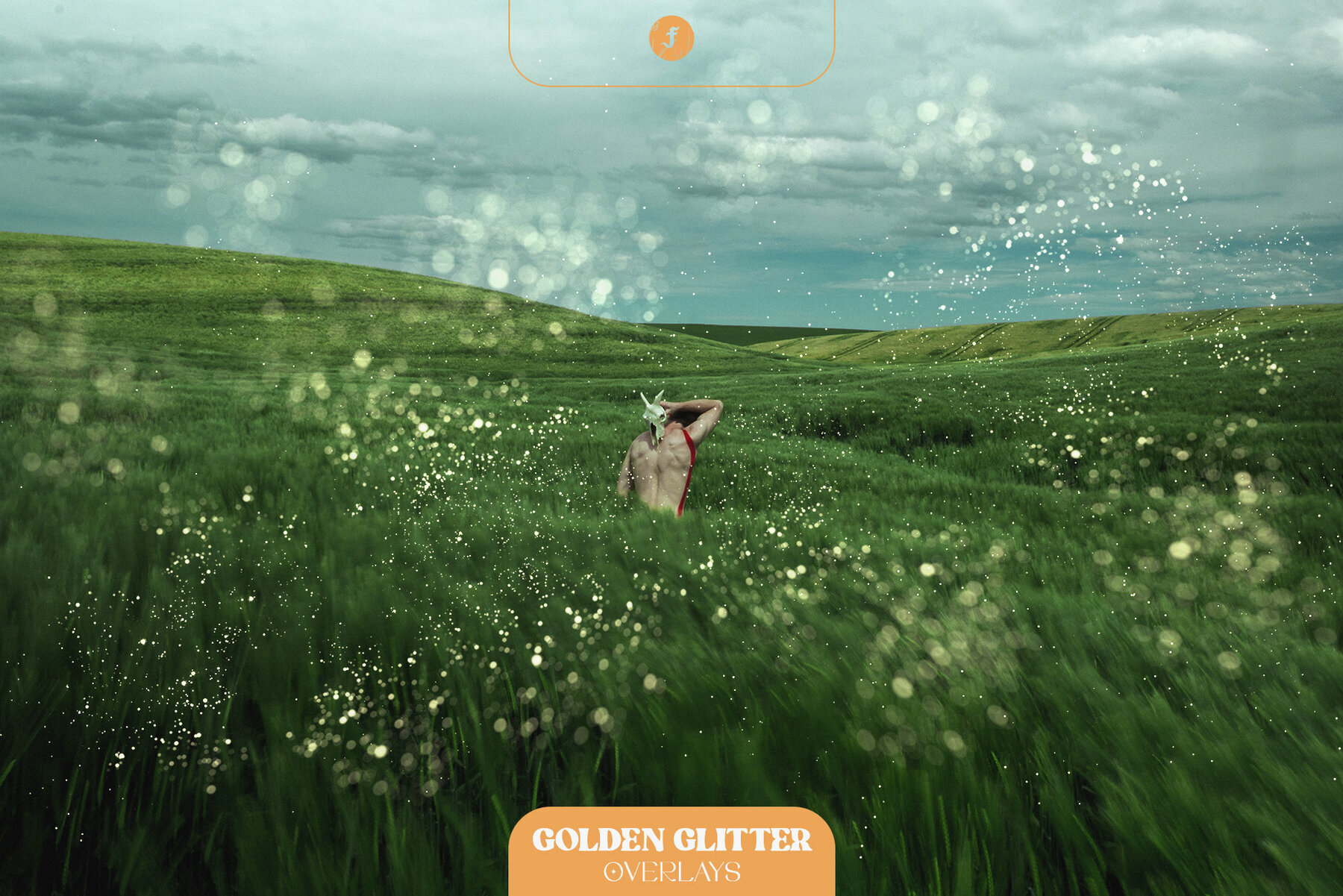 Golden Glitter Overlays 3