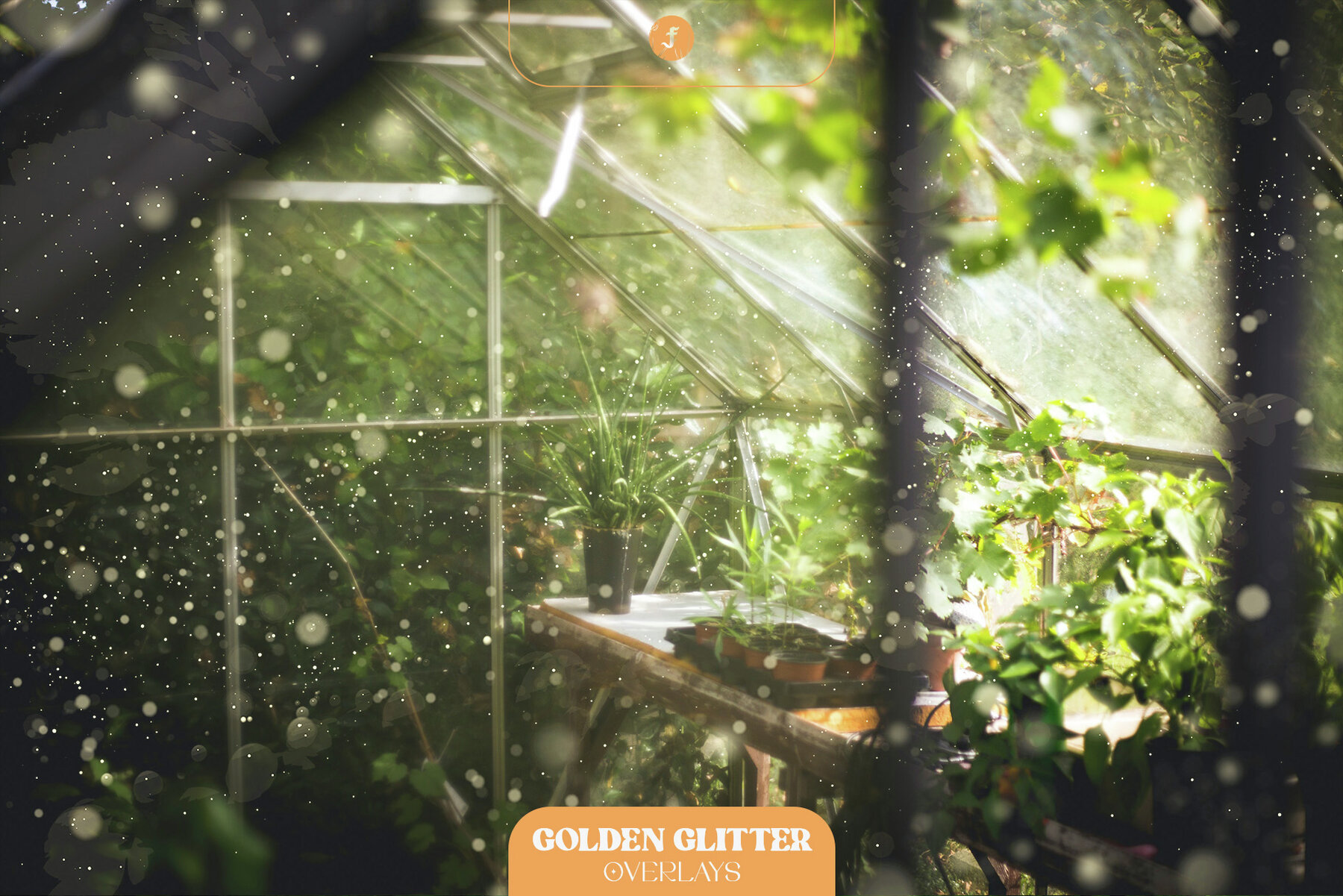 Golden Glitter Overlays 5