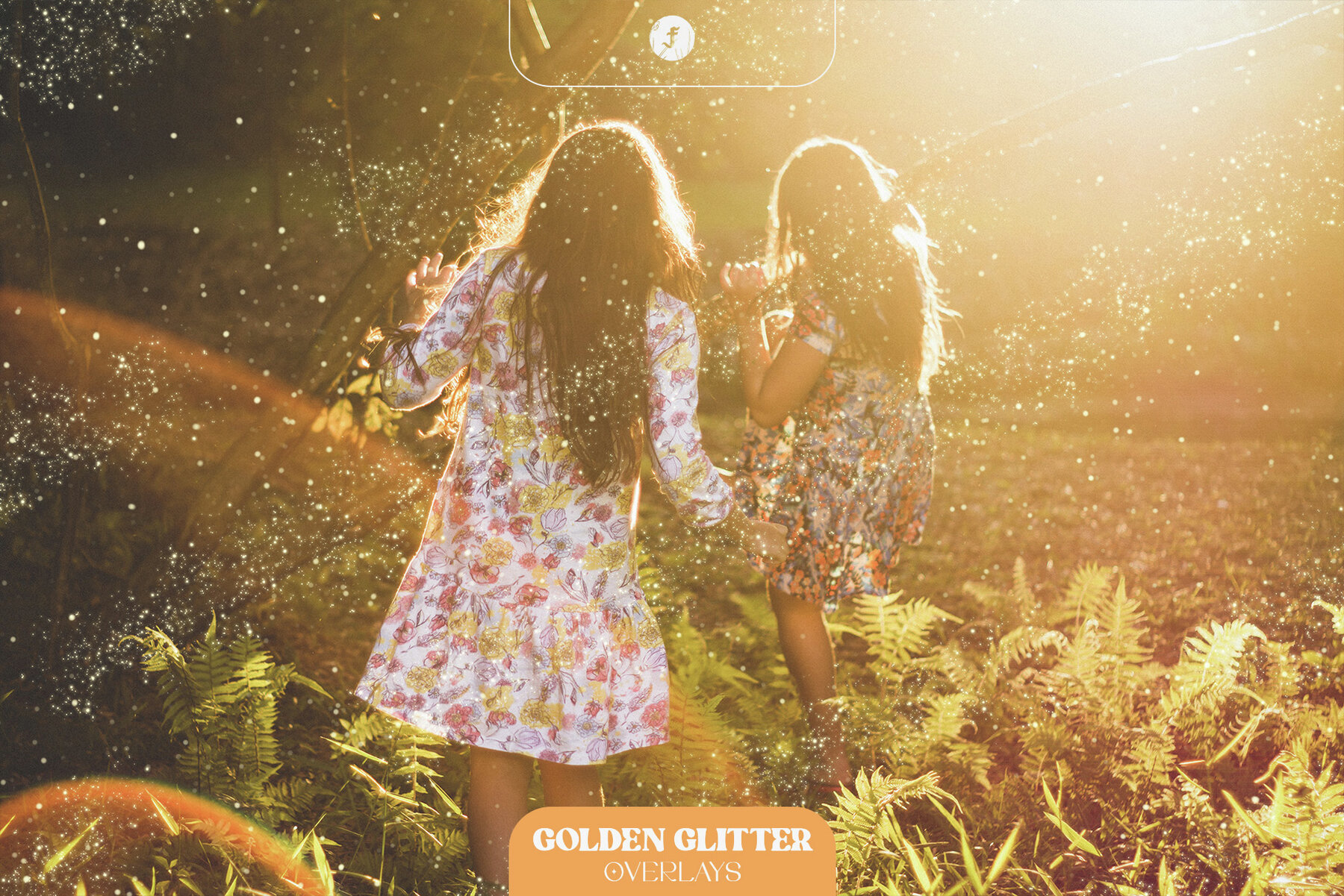 Golden Glitter Overlays 6