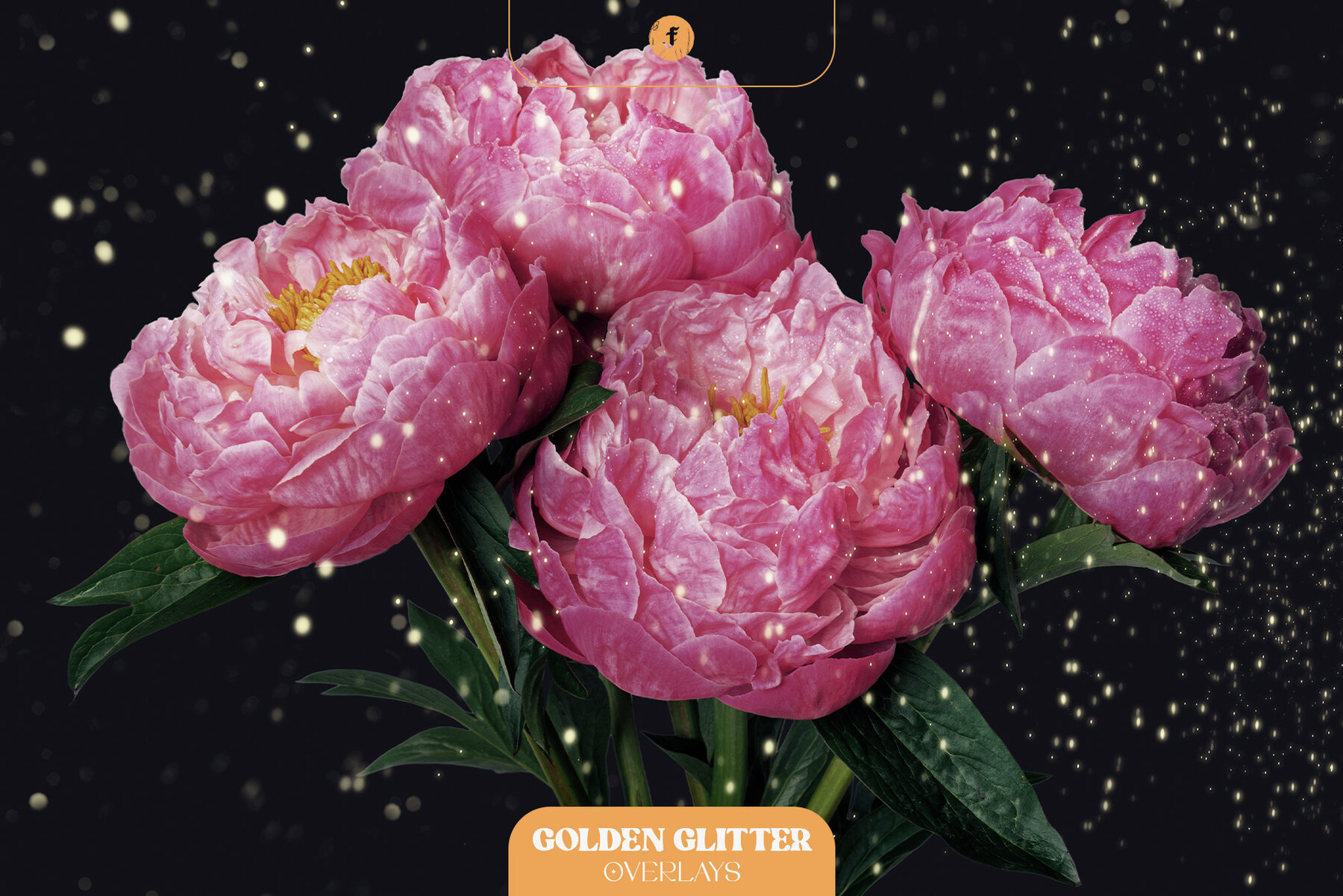 Golden Glitter Overlays 8