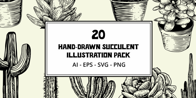 Hand Drawn Succulent Illustration Pack