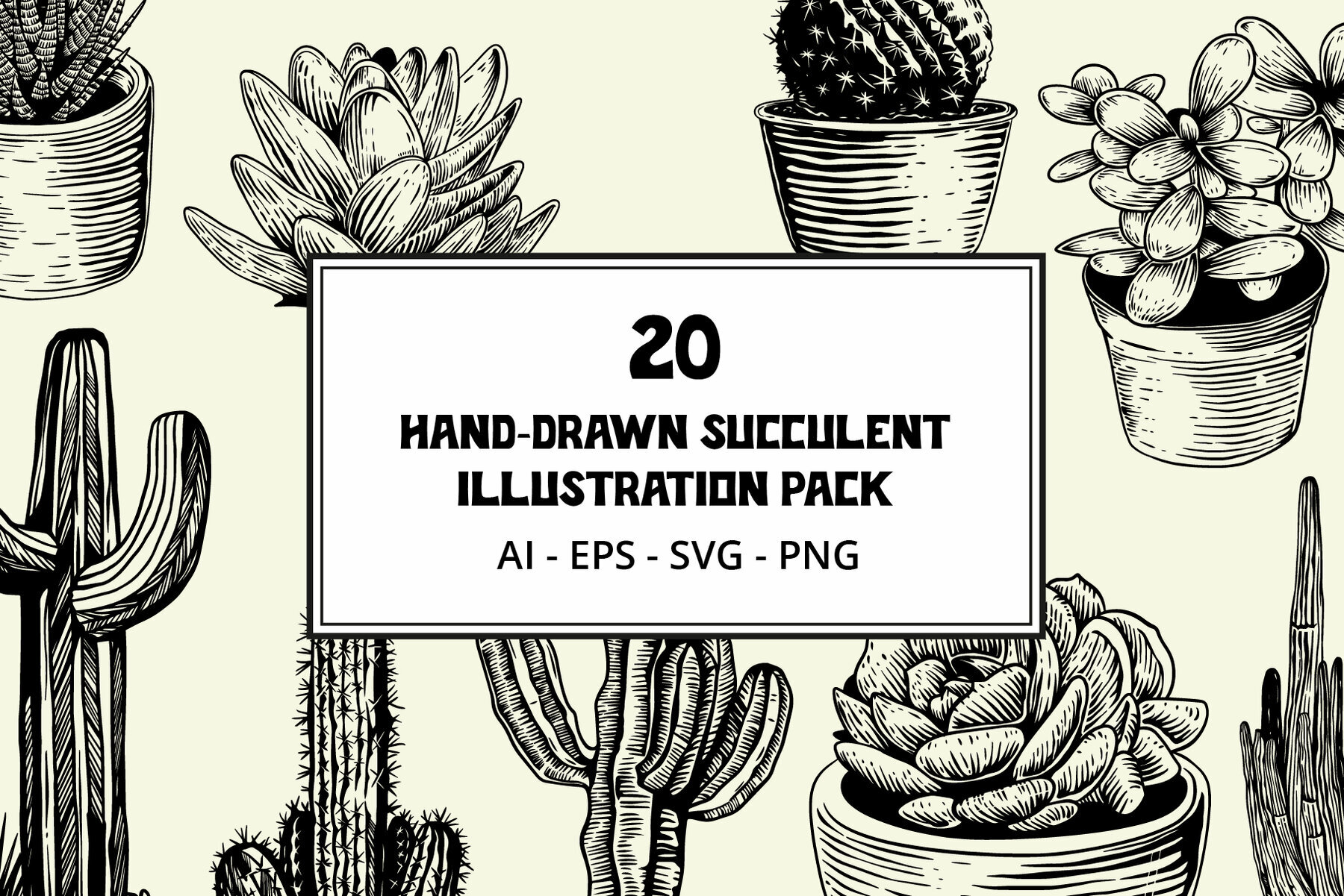 Hand Drawn Succulent Illustration Pack 1