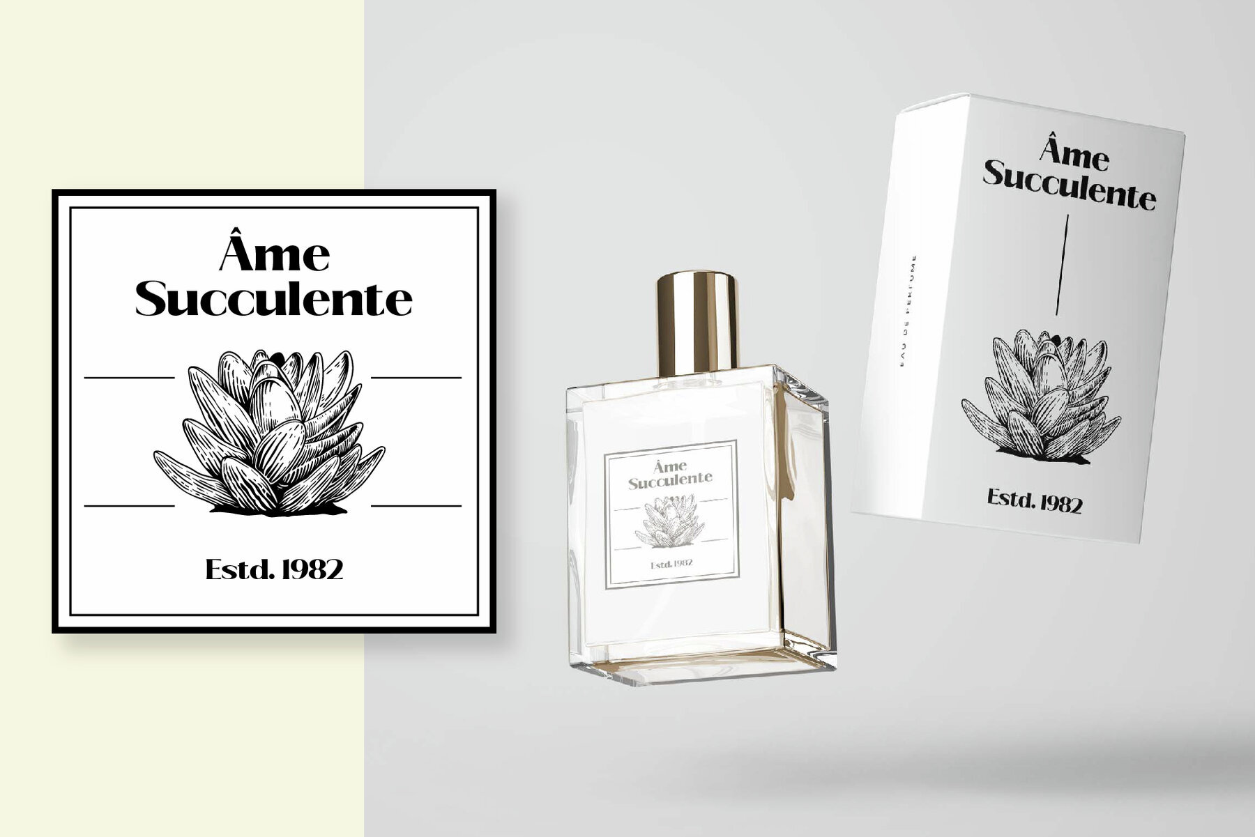 Hand Drawn Succulent Illustration Pack 2