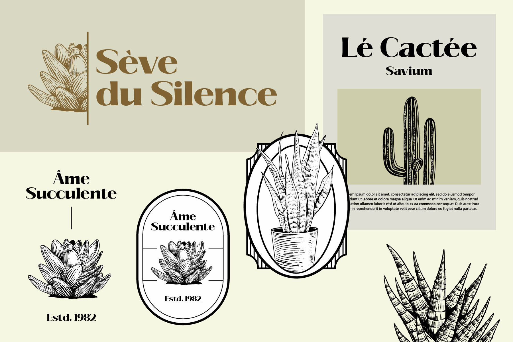 Hand Drawn Succulent Illustration Pack 3
