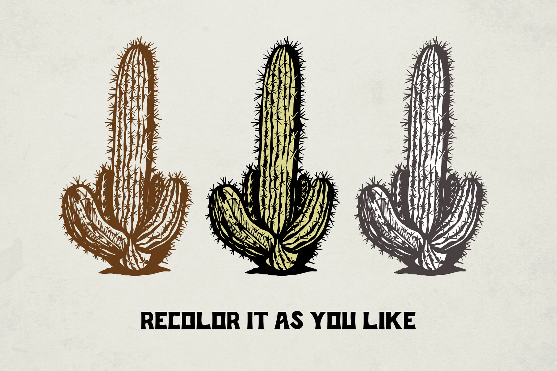 Hand Drawn Succulent Illustration Pack 5