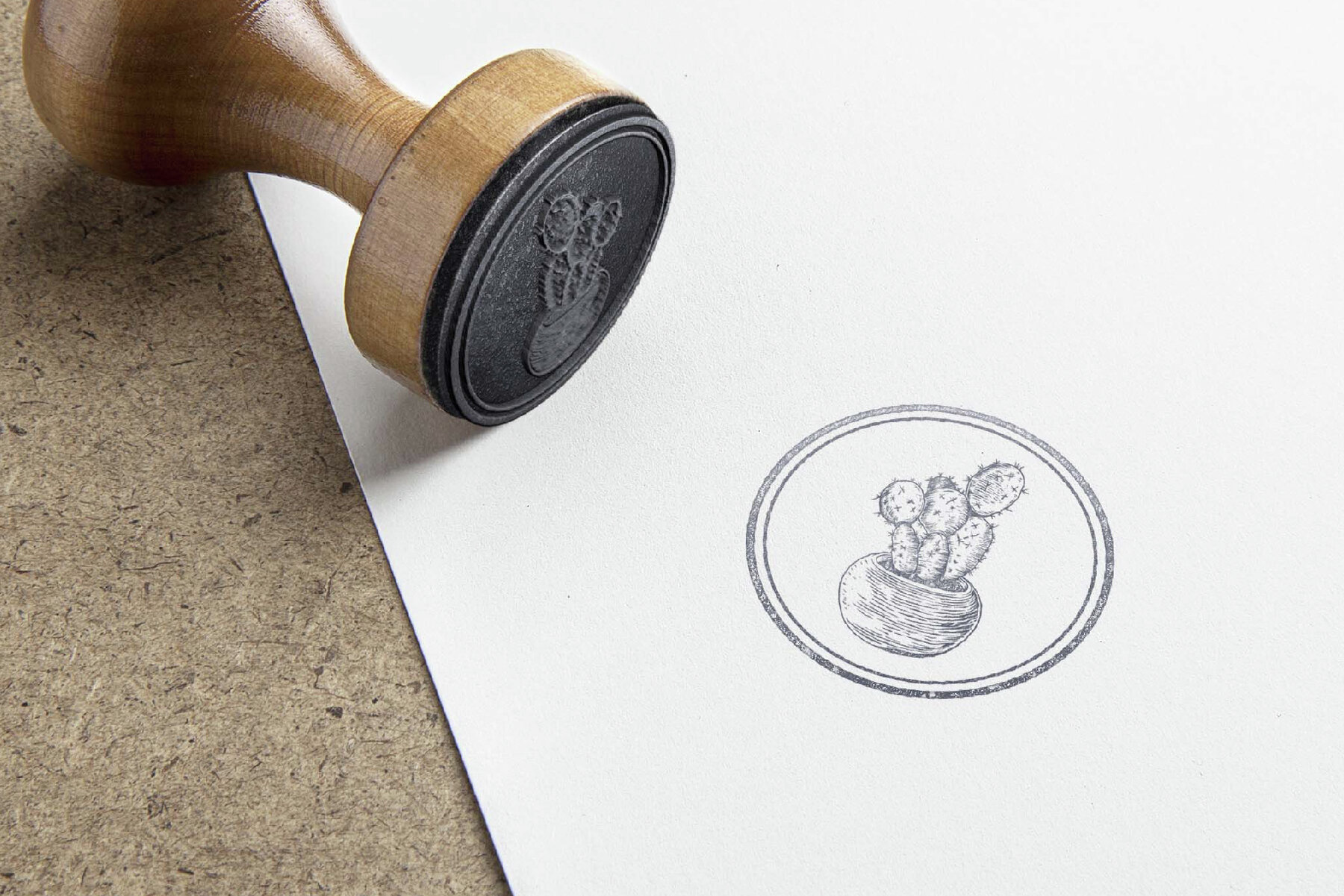 Hand Drawn Succulent Illustration Pack 6