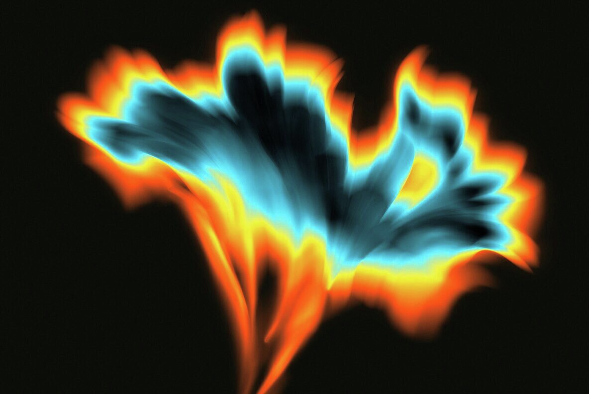 Floral Daze Backgrounds 5