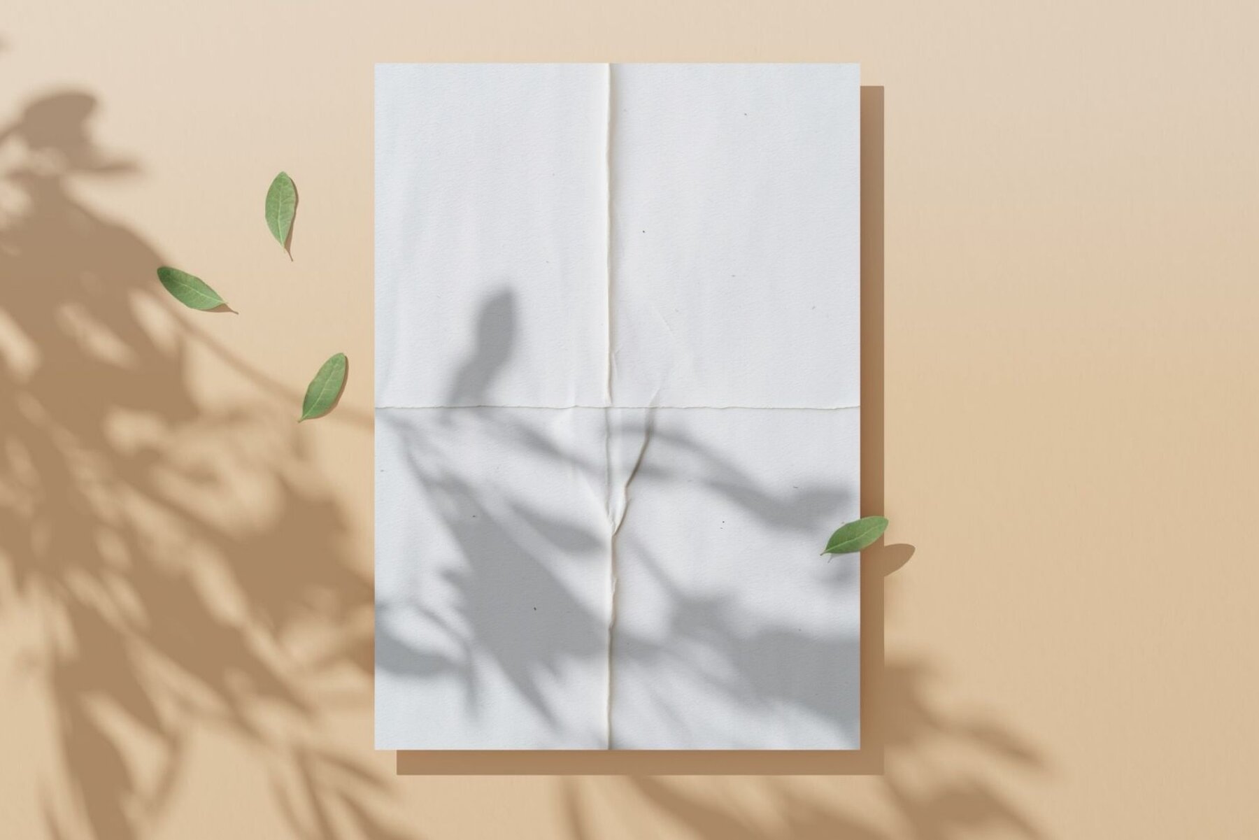 Paper Background texture 9