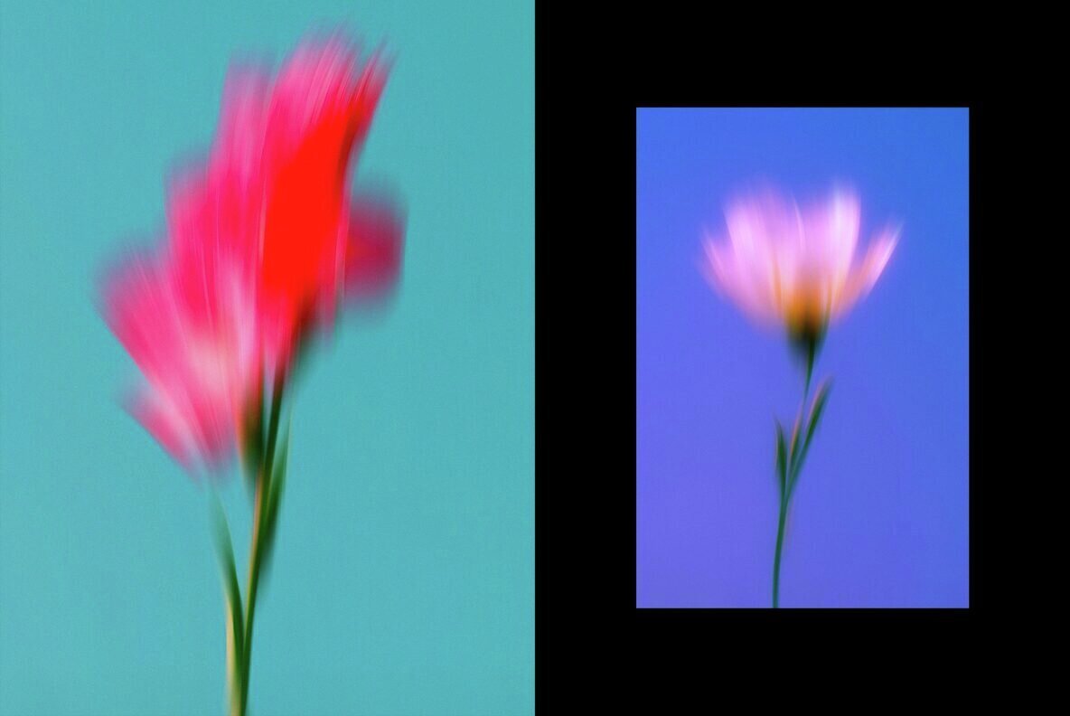 Dream Haze Abstract Flower Posters Collection 3