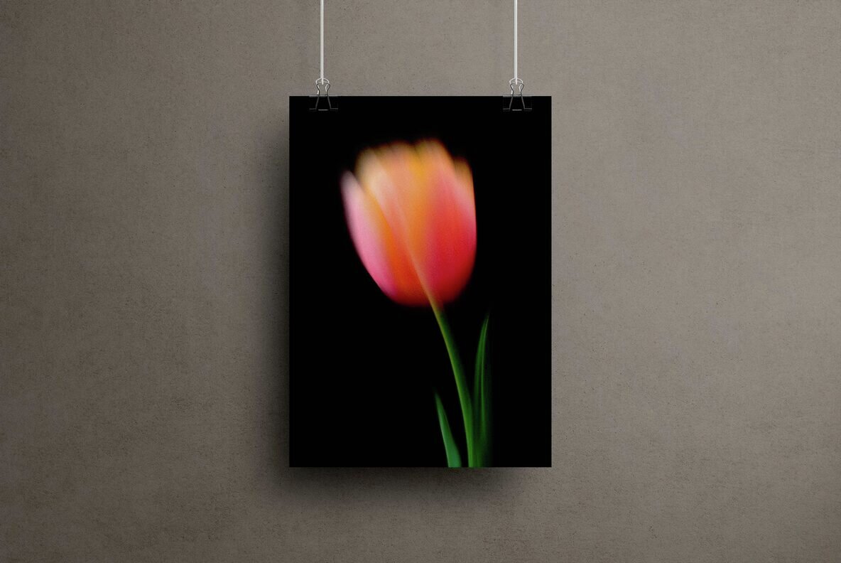 Dream Haze Abstract Flower Posters Collection 4