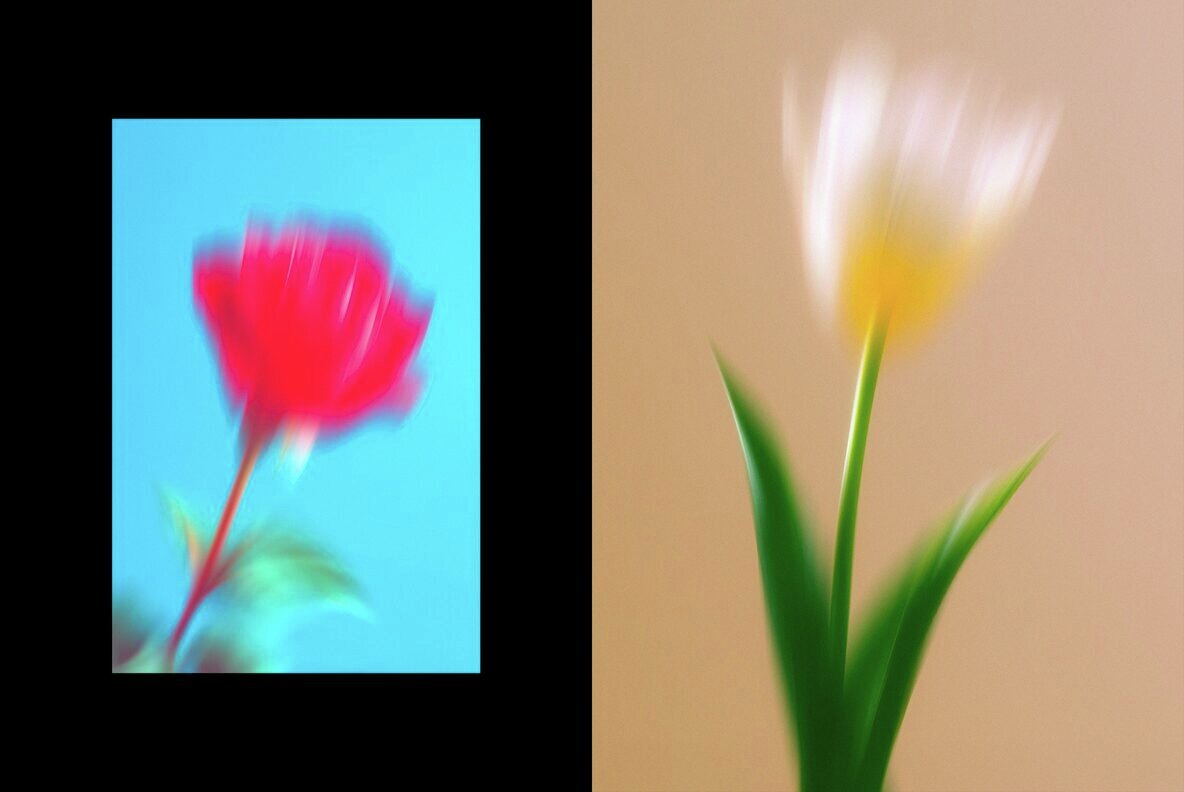 Dream Haze Abstract Flower Posters Collection 7