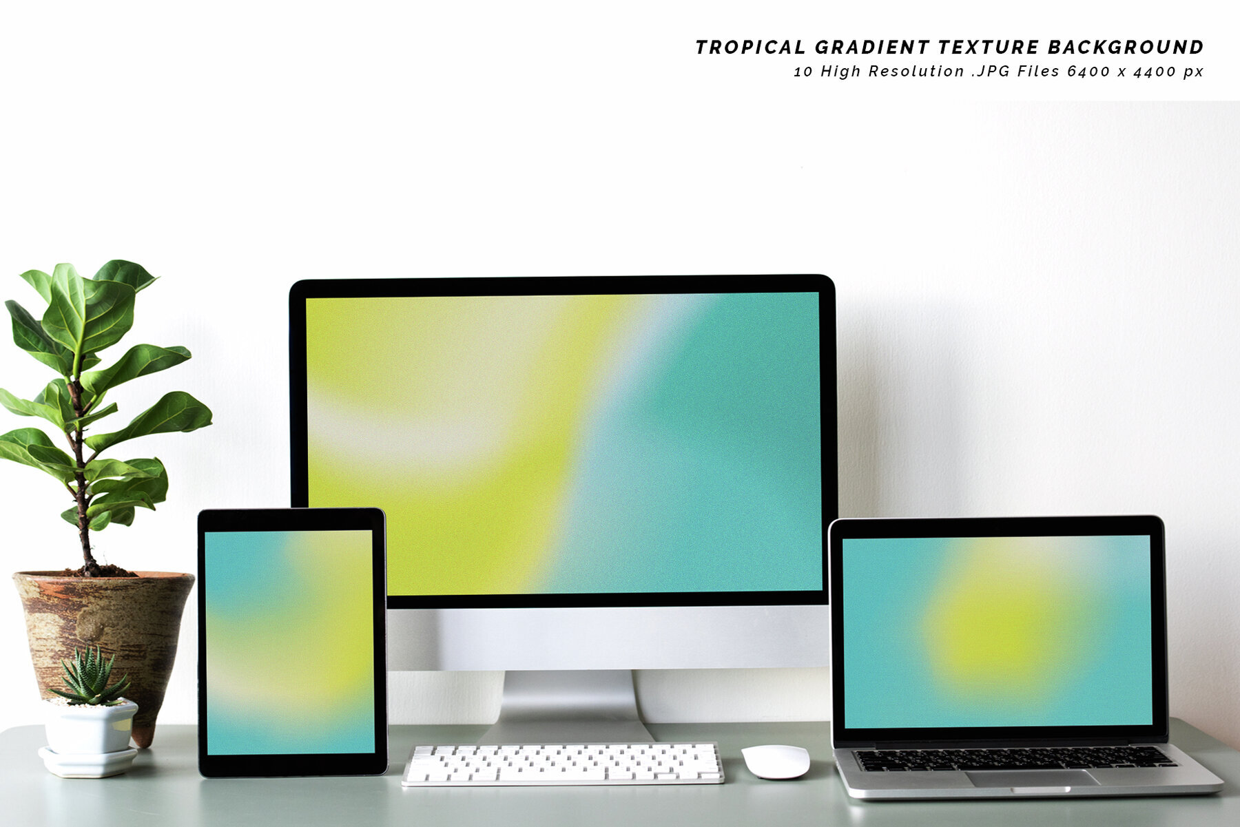 Tropical Gradient Texture Background 2
