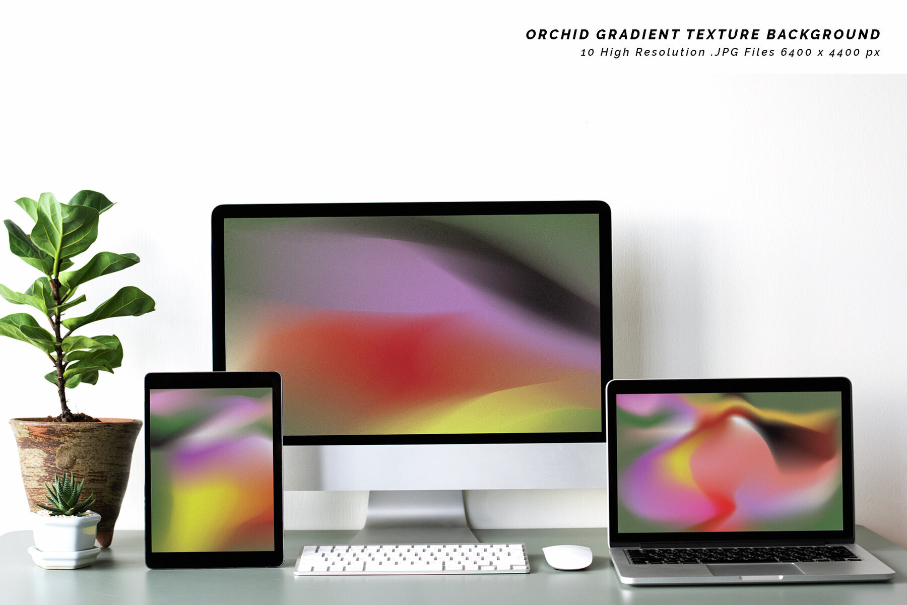 Orchid Gradient Texture Background 2