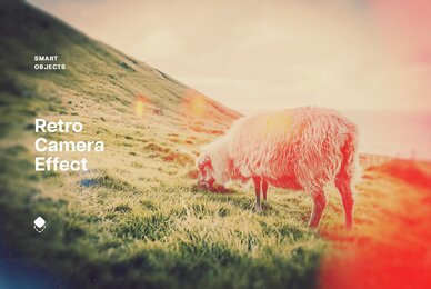 Retro Camera Photo Effect