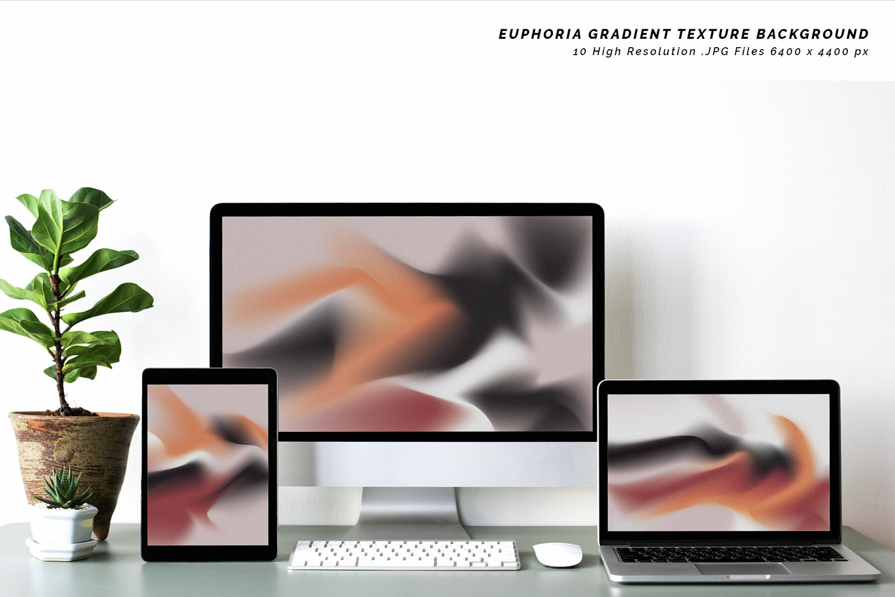 Euphoria Gradient Texture Background 2