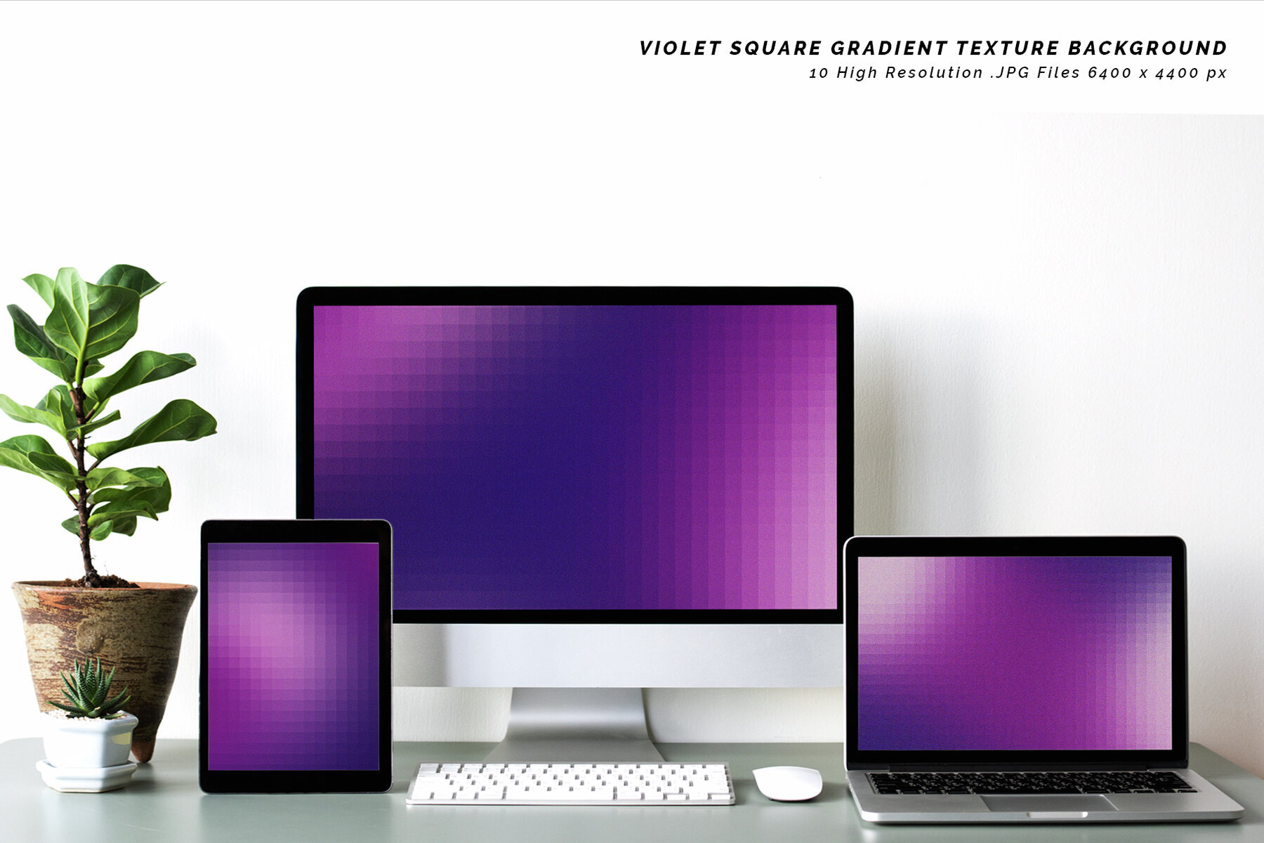 Violet Square Gradient Texture Background 2