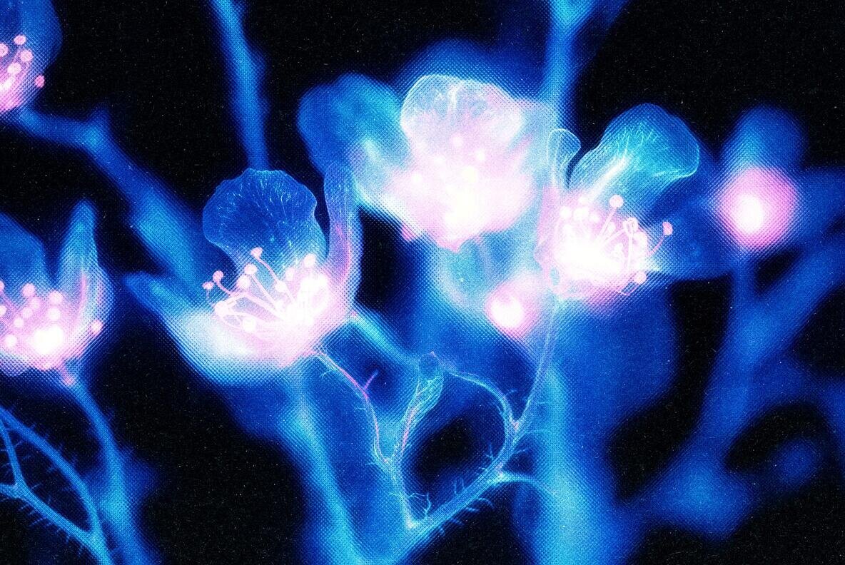 Radiant Halftone Photo Effect 3