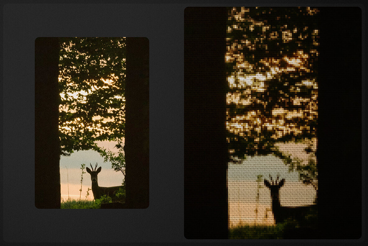 Embroidery Stitch Photo Effect 2