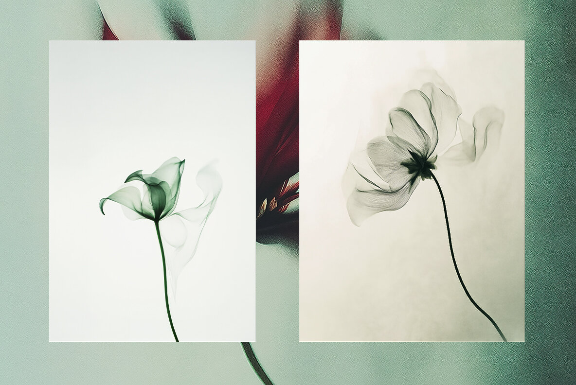 Motion Flowers Ethereal Botanicals 5