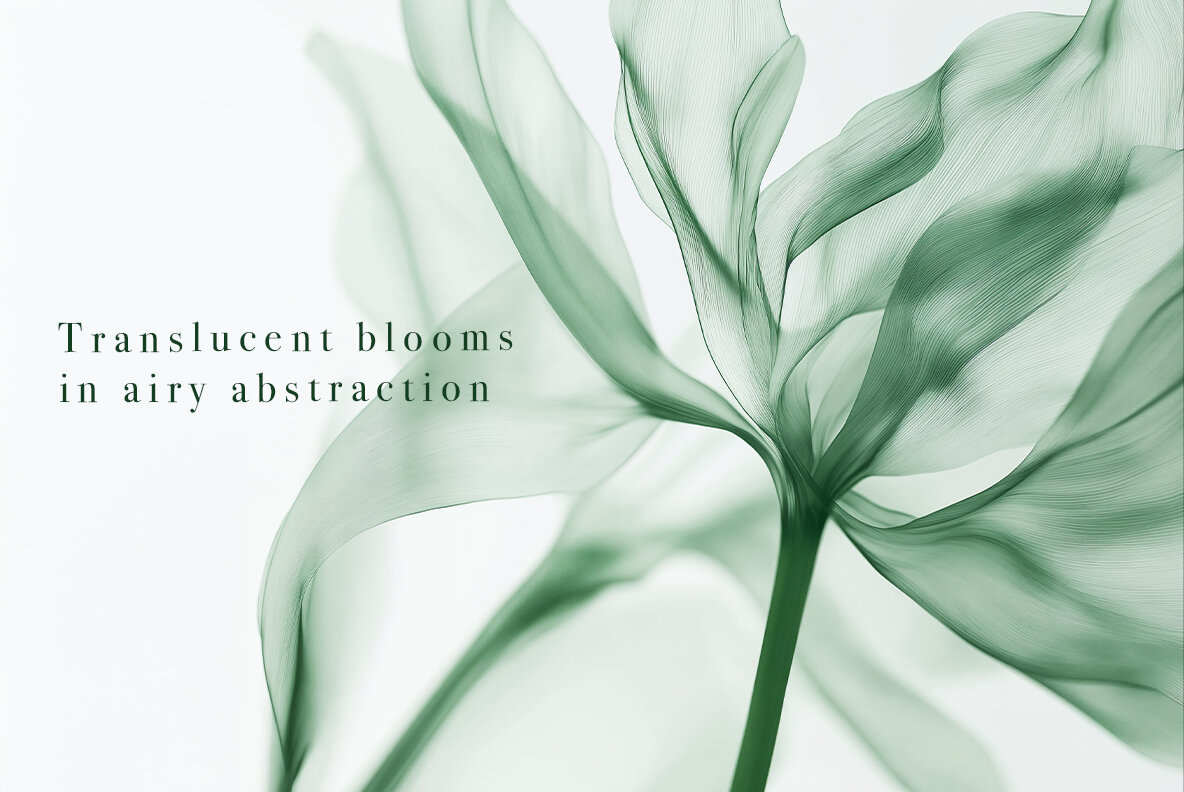 Motion Flowers Ethereal Botanicals 6