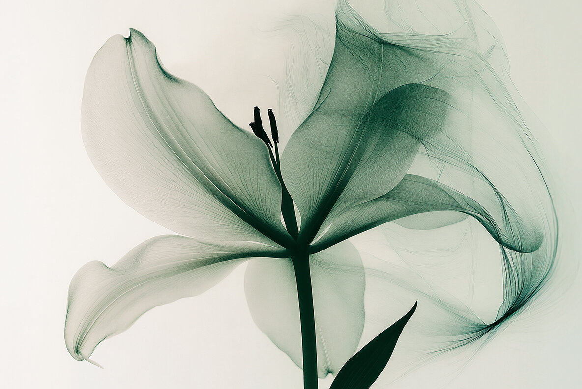 Motion Flowers Ethereal Botanicals 8